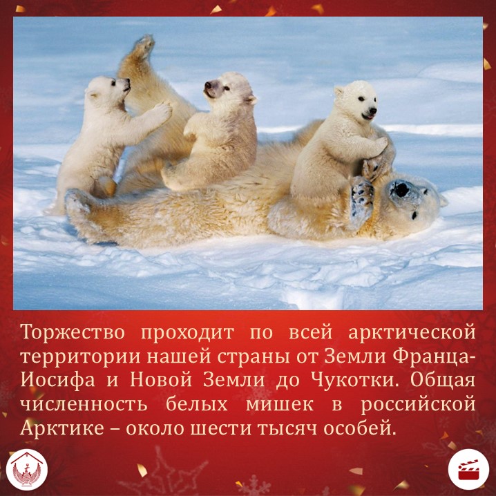 Карточка